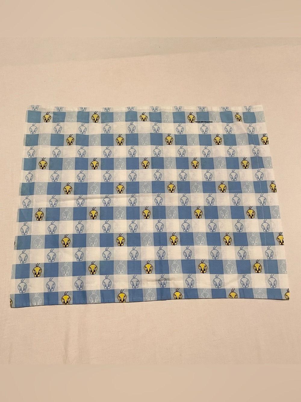 Vintage 1998 Tweety Bird Dan River Pillowcase Blue Gingham Looney Tunes